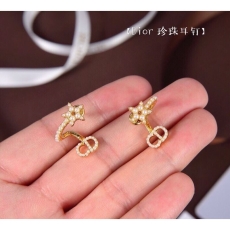 Christian Dior Earrings